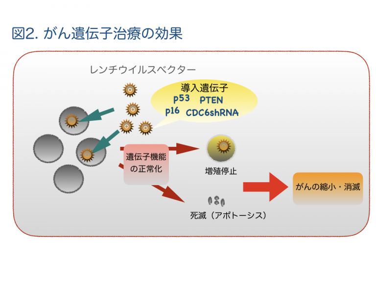 サンテクリニック がん遺伝子療法 サンテクリニック がん遺伝子療法